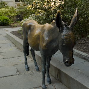74-bac_1x1-democratic_donkey