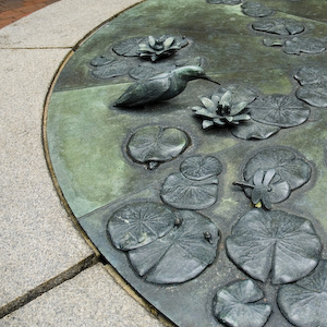 81-bac_1x1-creature_pond