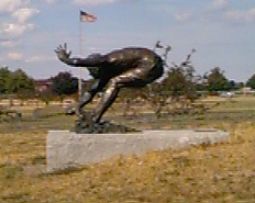 James Brendan Connolly, Olympian