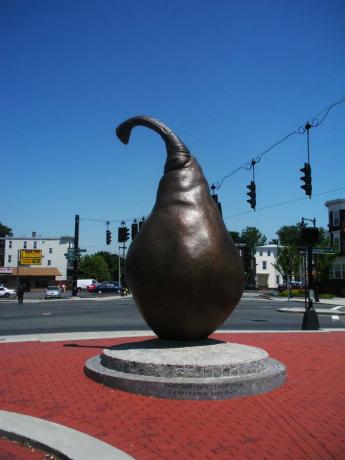 Edward Everett Sq. Pear