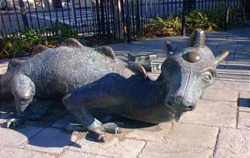 dragonfordorchester