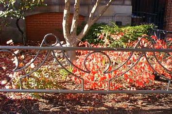 friendshipfence
